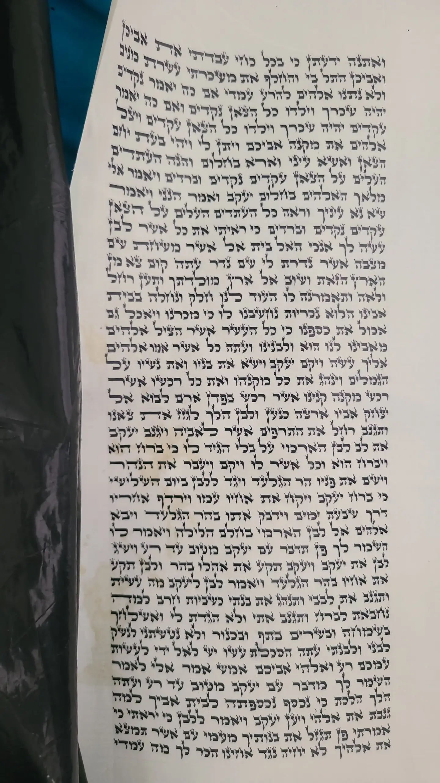 ספר תורה בכתב אדמו״ר הזקן בגודל 36 ס״מ מוכן למסירה לבתי כנסת חב״ד