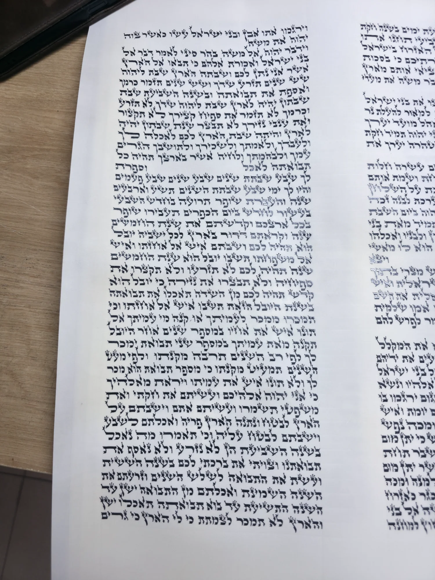 ספר תורה בכתב אדמו״ר הזקן בגודל 48 ס״מ שנכתב על קלף בידי סופר סת״ם מוסמך