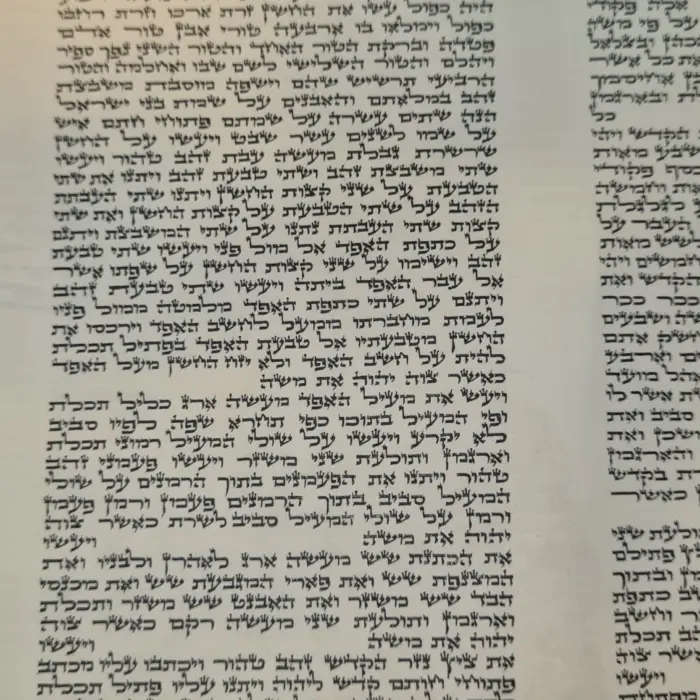 ספר תורה אשכנזי בכתב האר״י בגודל 17 ס״מ שנכתב על קלף בידי סופר סת״ם מוסמך