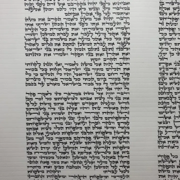 ספר תורה אשכנזי בכתב האר״י בגודל 20 ס״מ, יריעת קלף פתוחה בכתב סת״ם מוקפד