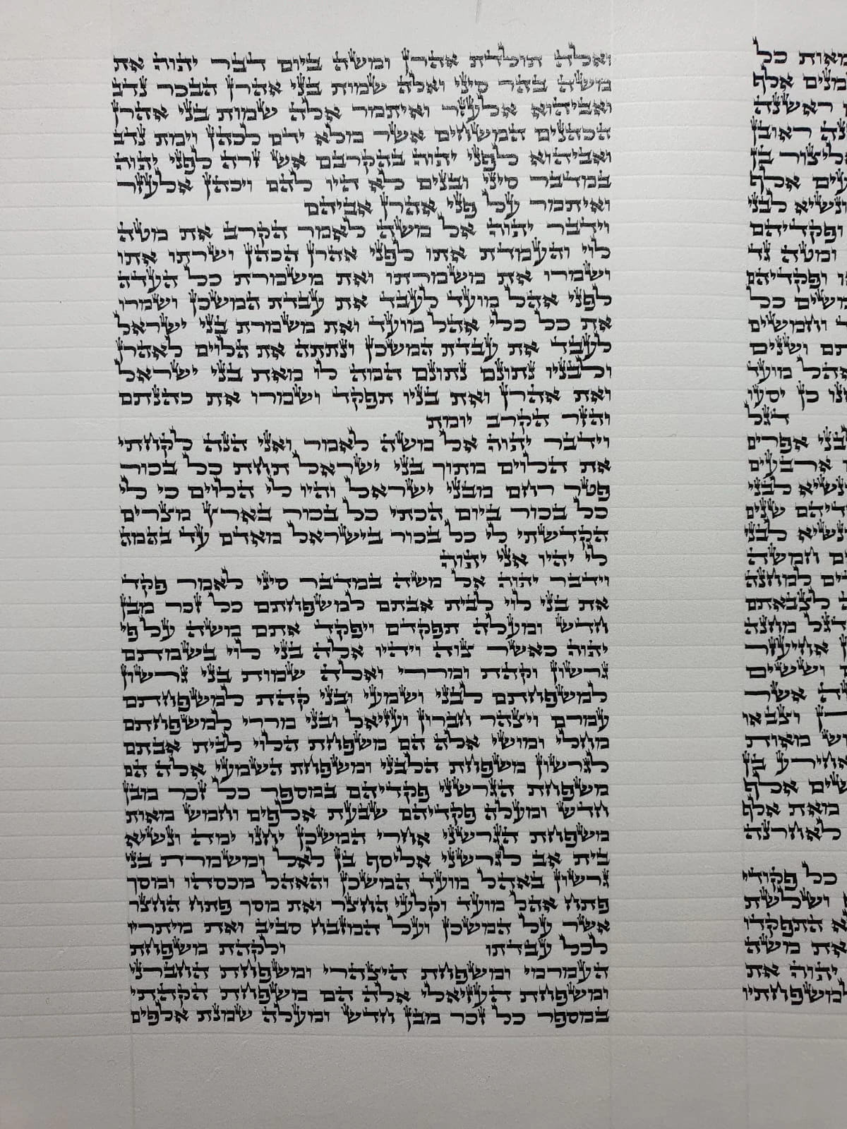 ספר תורה אשכנזי בכתב האר״י בגודל 20 ס״מ, יריעת קלף פתוחה בכתב סת״ם מוקפד