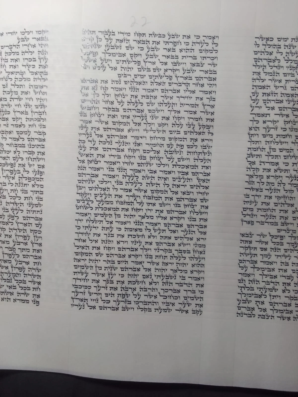 ספר תורה אשכנזי בכתב האר״י בגודל 24 ס״מ מוכן למסירה לקהילות חסידיות