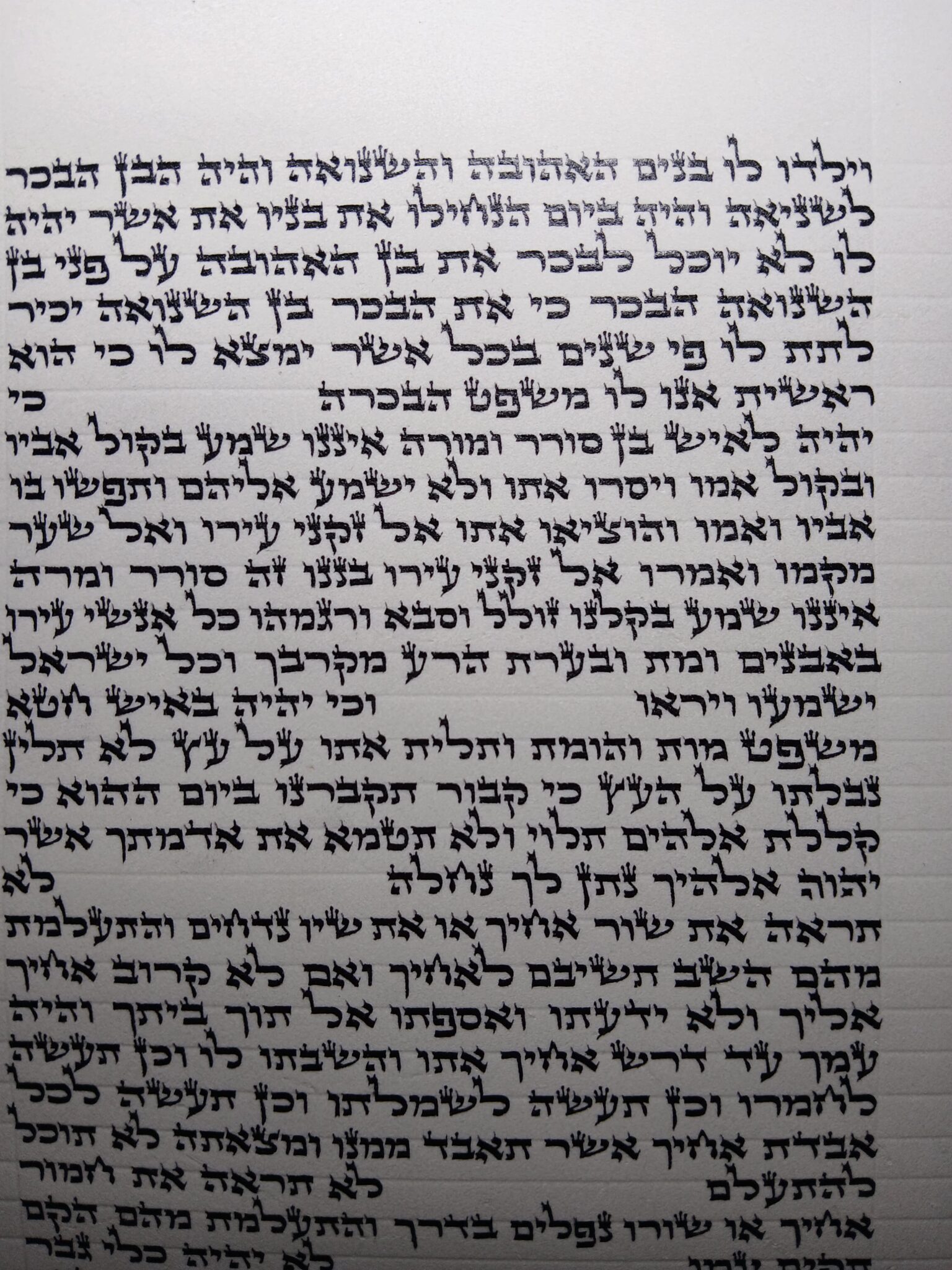 ספר תורה אשכנזי בכתב האר״י בגודל 30 ס״מ, יריעת קלף פתוחה בכתב סת״ם מוקפד