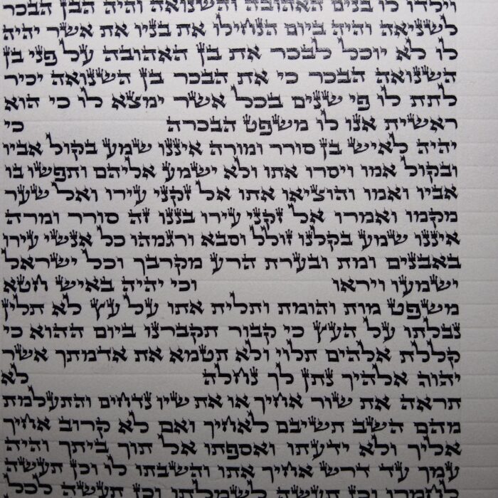 ספר תורה אשכנזי בכתב האר״י בגודל 30 ס״מ, יריעת קלף פתוחה בכתב סת״ם מוקפד