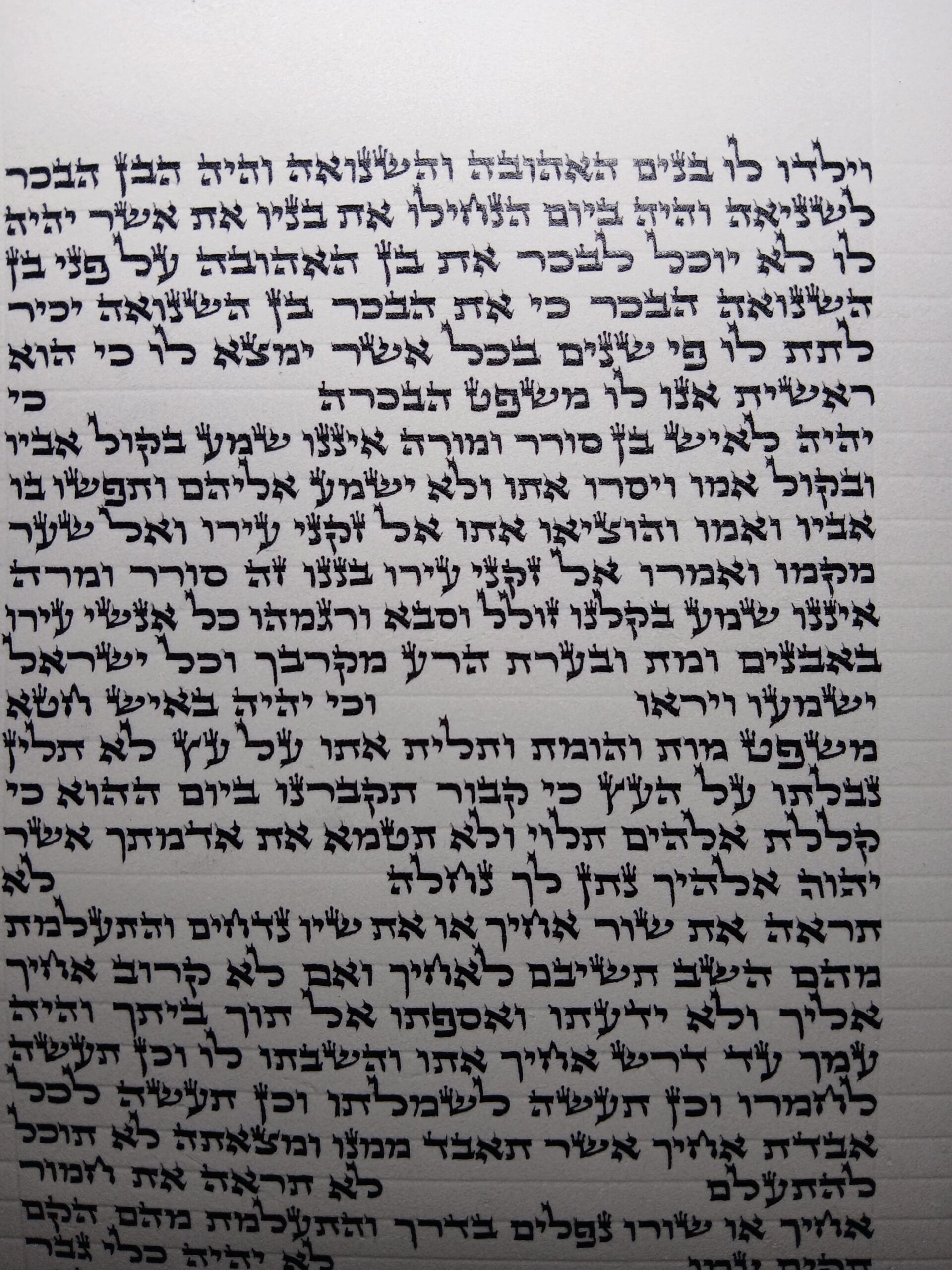ספר תורה אשכנזי בכתב האר״י בגודל 30 ס״מ, יריעת קלף פתוחה בכתב סת״ם מוקפד