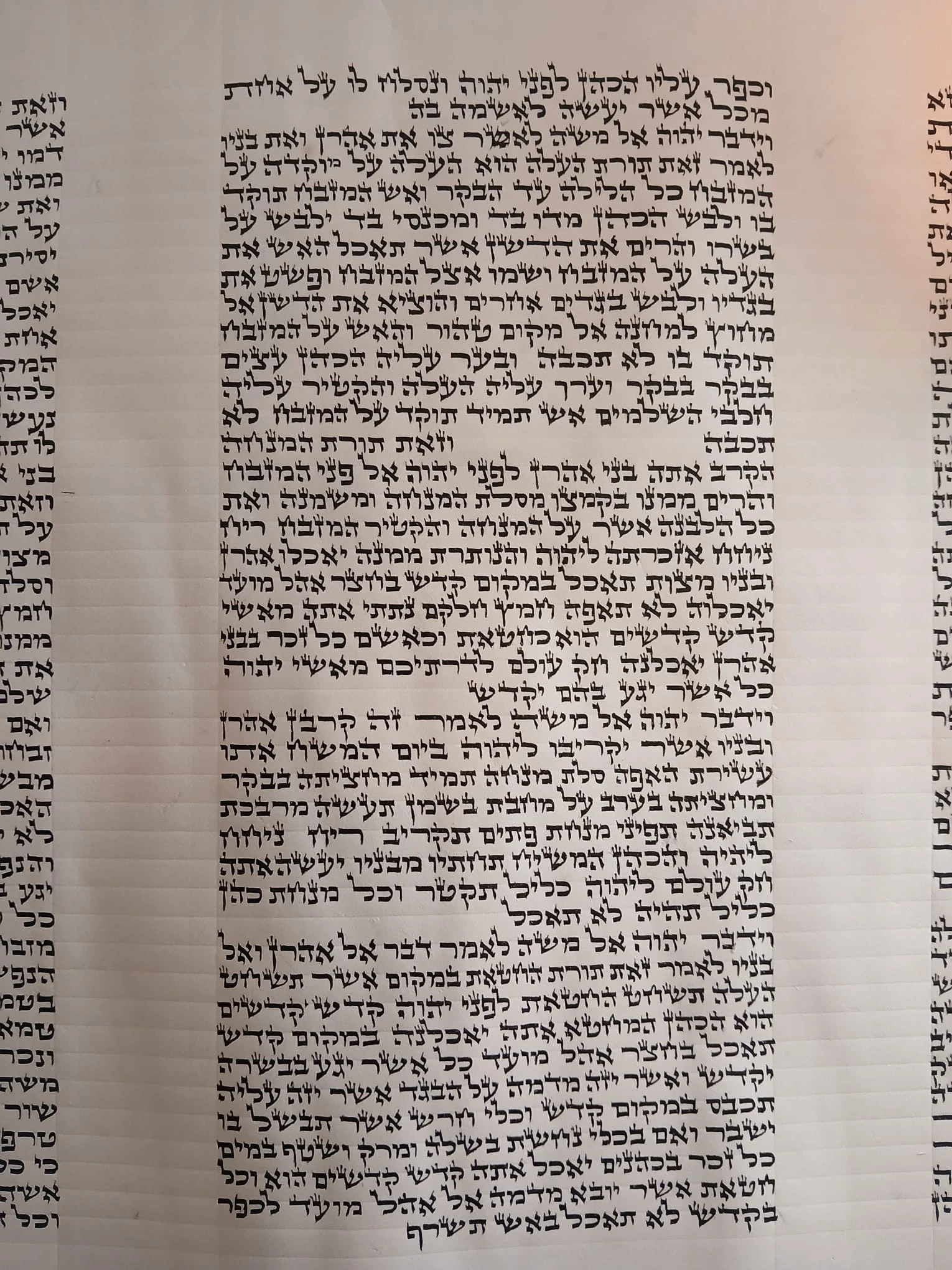 ספר תורה אשכנזי בכתב האר״י בגודל 45 ס״מ, יריעת קלף פתוחה בכתב סת״ם מוקפד