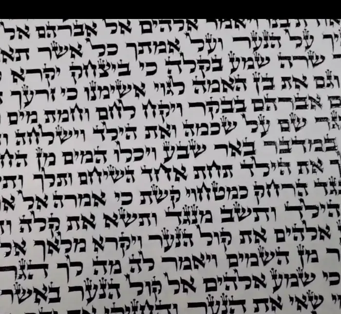 ספר תורה אשכנזי בכתב בית יוסף בגודל 36 ס״מ מוכן למסירה לבית כנסת אשכנזי מסורתי