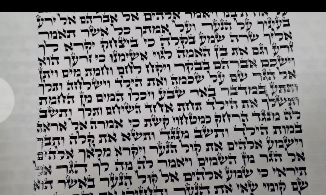 ספר תורה אשכנזי בכתב בית יוסף בגודל 36 ס״מ מוכן למסירה לבית כנסת אשכנזי מסורתי