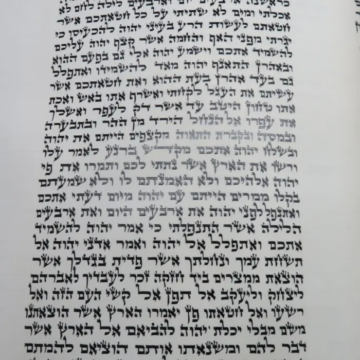 ספר תורה אשכנזי בכתב בית יוסף בגודל 45 ס״מ, יריעת קלף פתוחה בכתב סת״ם מוקפד