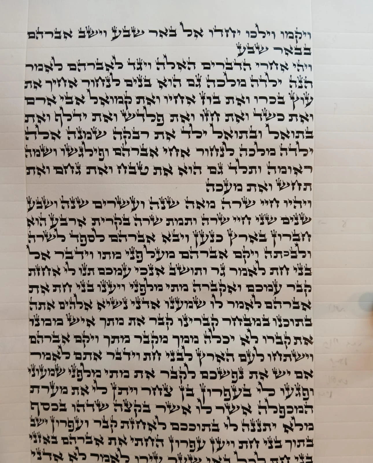 ספר תורה אשכנזי בכתב בית יוסף בגודל 48 ס״מ, אותיות סת״ם ותגים בכתיבה ידנית