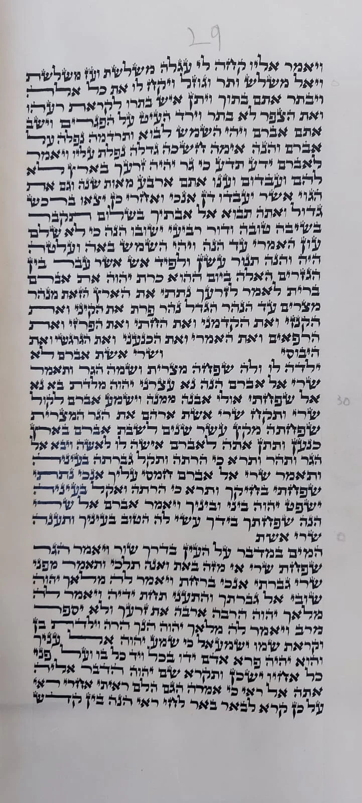 ספר תורה ספרדי בגודל 36 ס״מ, אותיות סת״ם ותגים בכתיבה ידנית