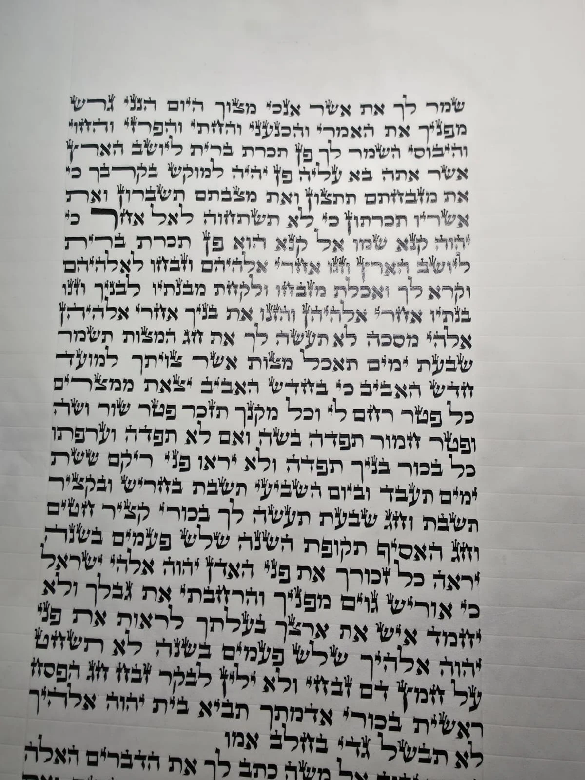 ספר תורה ספרדי בגודל 48 ס״מ, יריעת קלף פתוחה בכתב סת״ם מוקפד