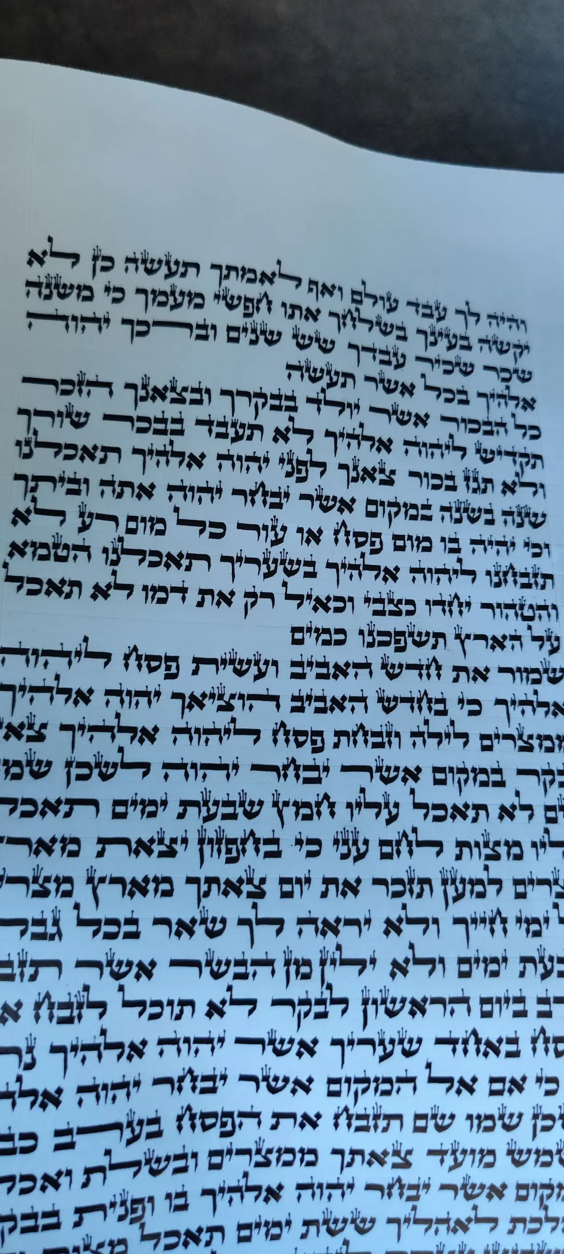 ספר תורה ספרדי בגודל 56 ס״מ, יריעת קלף פתוחה בכתב סת״ם מוקפד